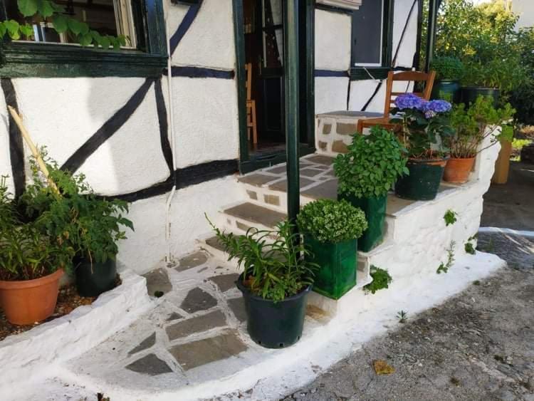 Lefkada Villas Panoramic Katouna 외부 사진